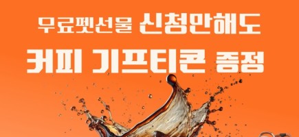 왓도그캣.jpg