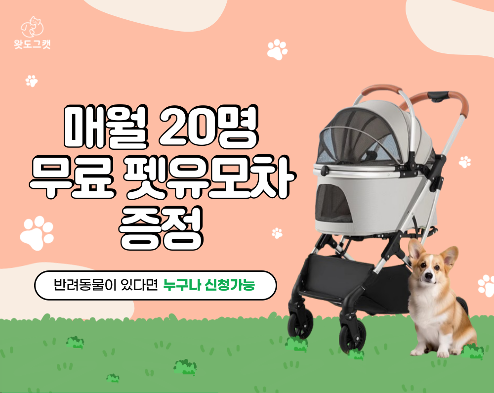 전체사진