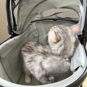 IMG_1783.jpeg