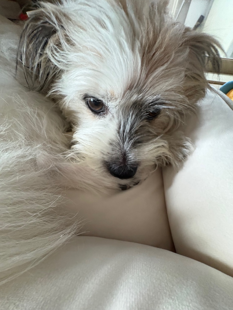 IMG_1877.jpeg