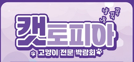 광주_캣토피아.jpg