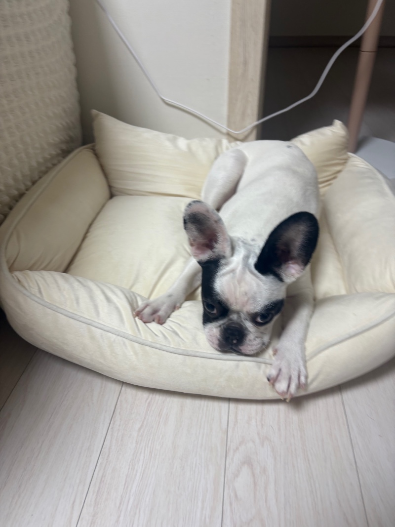 IMG_2514.jpeg