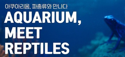 12월-파충ㄹ.jpg