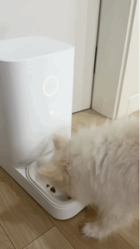 2174836757.gif